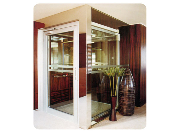 0.4m/s 250-400 KG High Quality Home Elevator