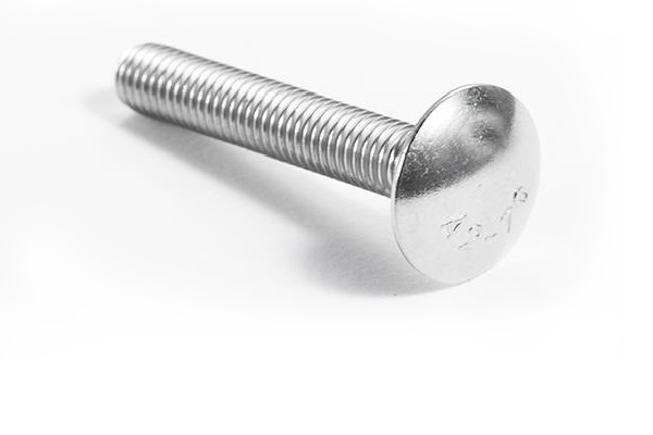 Stainless Steel Carriage Bolt DIN603 M5- M20