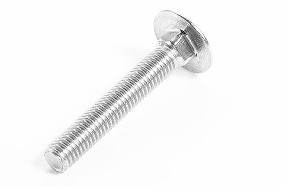 Stainless Steel Carriage Bolt DIN603 M5- M20