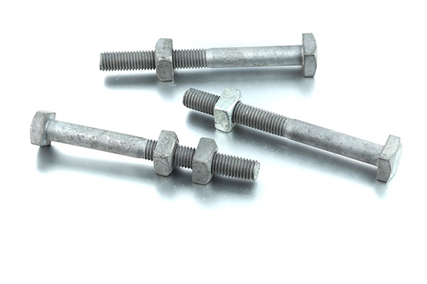 Customized Size Special Square Head Bolt 