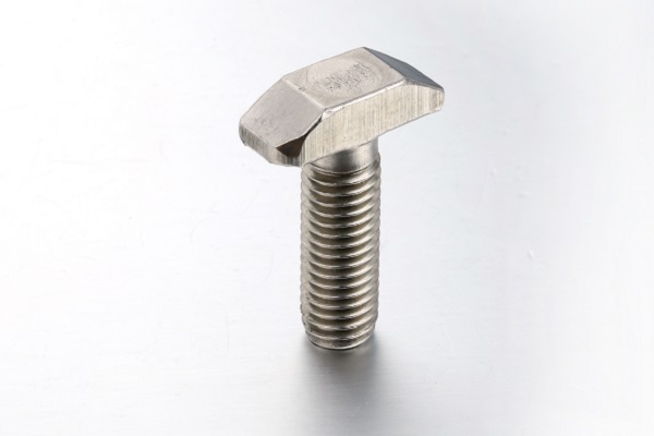 Special Stainless Steel T Head Handle Bolt as Drawing