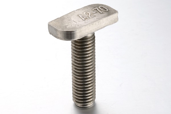 Special Stainless Steel T Head Handle Bolt as Drawing