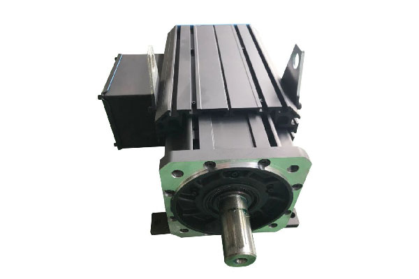 Permanent Magnet Servo Motor 